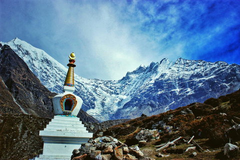 From Kathmandu: Langtang Valley Trek with Transfers
