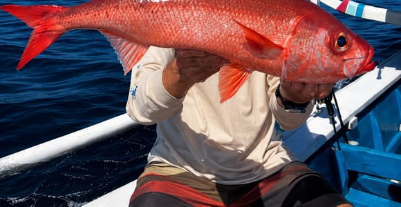 Lombok: Private Fishing and Snorkeling Tour with BBQ