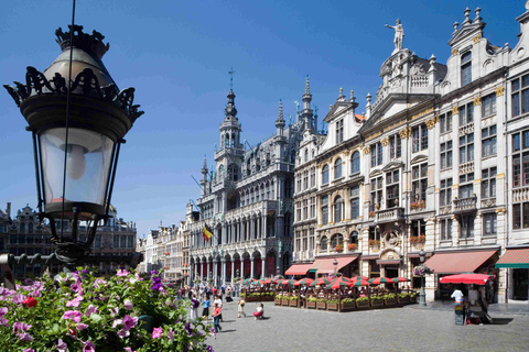From Brussels: Brussels Tour with Waterloo and Atomium Stop