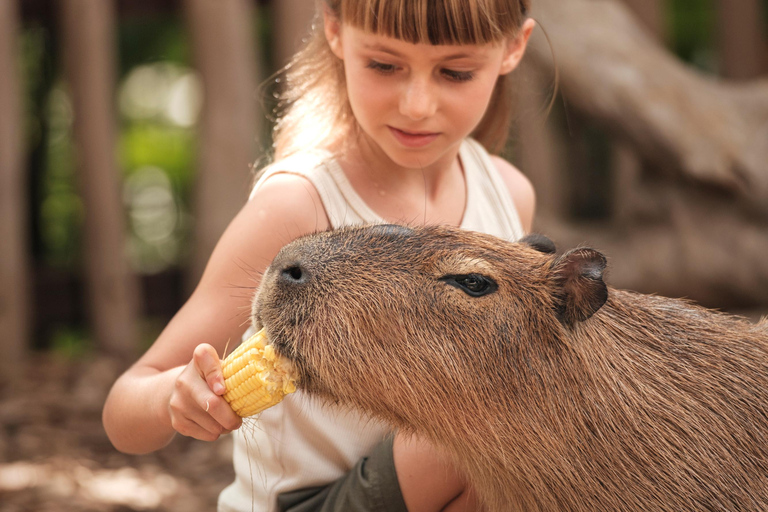 Bali Zoo: Capybara Brunch & Observation Experience Capybara Brunch Experience with Transfer