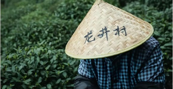Hanzghou Longjing Village Teekultur + Beliebte Wanderung