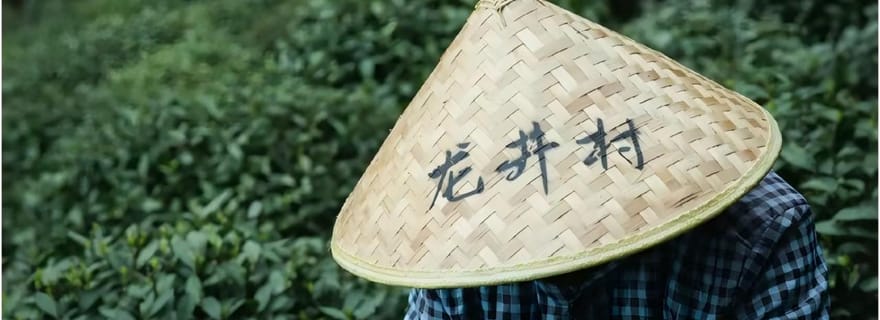 Culture du thé au village de Longjing à Hangzhou et randonnée