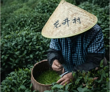 Hangzhou: Longjing Village Tea Picking and Tasting Tour