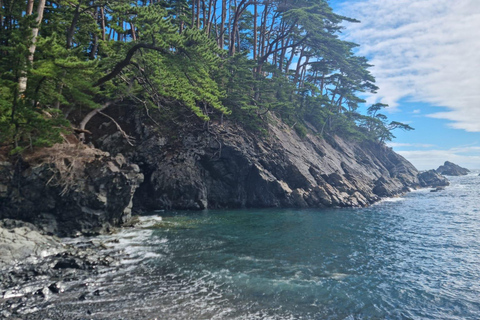 Tokyo: Personalized Half-day Tour