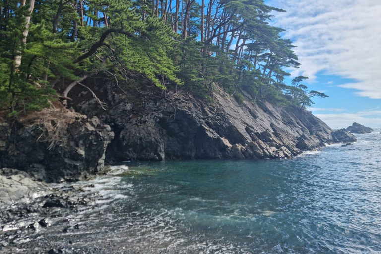 Tokyo: Personalized Half-day Tour