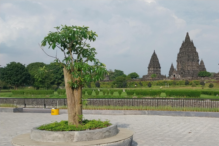 Semarang: 5-Day Java Highlights Tour to Ketapang Port