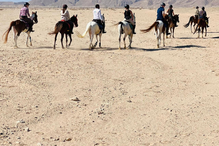 الغردقة: جولة ركوب الخيل في الصحراء والبحر مع خيار السباحةجولة لمدة ساعتين لركوب الخيل بدون السباح