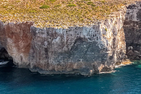 From Bugibba: Comino and Gozo Cruise with Swim Stops