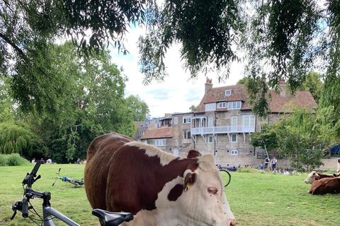 Cambridge: Grantchester Bike Tour