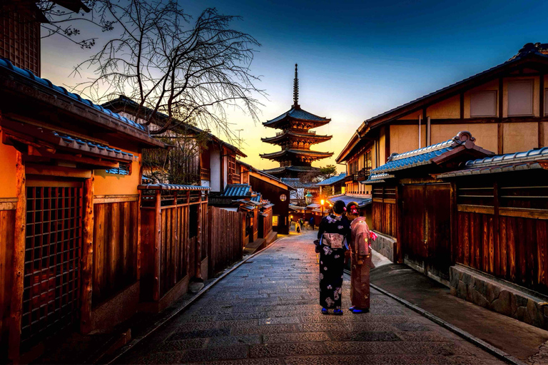 From Osaka/Kyoto: Nara Private Day Tour with Hotel Pickup Comfortable Toyota Hiace for Big Group Upto 10 persons