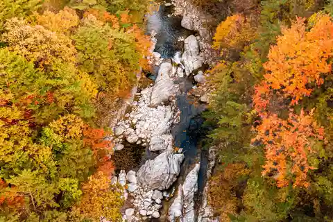 Seoul: Odaesan or Daedunsan Park Autumn Foliage Day Tour