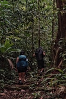 Overnight Sirena & San Pedrillo, Corcovado National Park - Housity