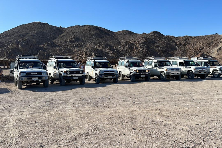 Hurghada: Quad Bike, Buggy, Jeep Safari, Przejażdżka na wielbłądzie i KolacjaQuad Bike, Buggy, Jeep Safari, Przejażdżka na wielbłądzie i kolacja