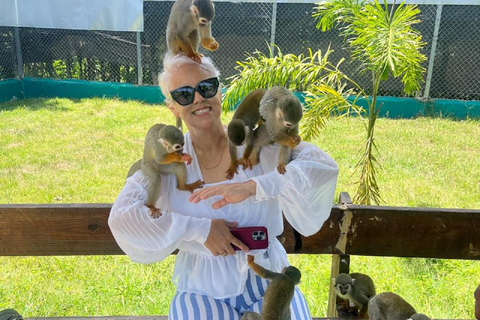 Puerto Plata: Watching Wild Primates and Botanical Hiking