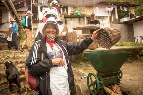 Tour de café saindo de Medellín com almoço e degustação de café