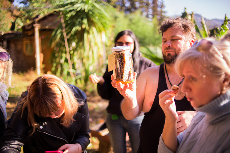 Batumi: Sweet Excursion and Mtirala Forest