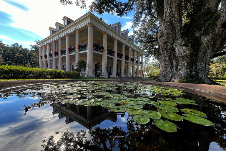 Bayous And Byways, Oak Alley Plantation And Kayak Swamp Tour