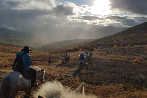 Terelj, Khar khorum, Pferderitt, Kamelritt, KlosterWillst du eine anstrengende Zeit in der Mongolei verbringen, besuchen, lernen