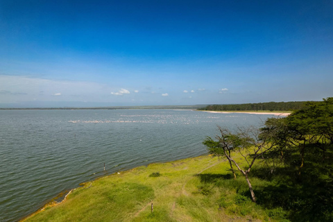 Lake Elemtaita: Elementaita Flamingoes & Birdwatching tour