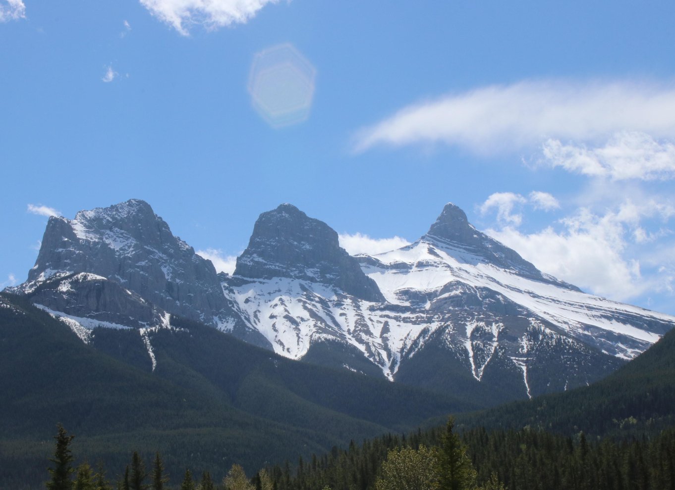 Canmore: Rocky Mountain – 1,5 times naturskøn tur med flåde på Bow River