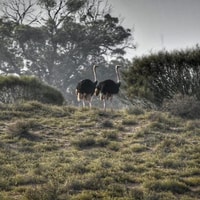 Agadir ou Taghazout Souss Park Animaux sauvages - Hizvo