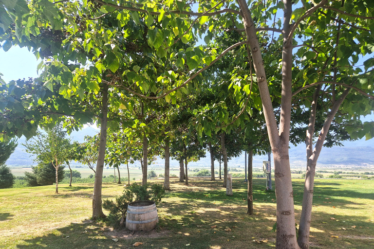 From Plovdiv: Wine Escape to the Rhodope Foothills