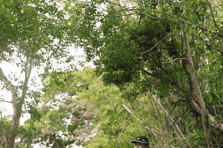 Hong Kong Eco-tourism: Guided Forest Bathing Experience Private Forest Therapy Session