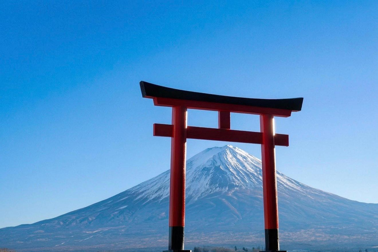Mt Fuji 8 Spots Customizable Sightseeing Day Tour with Guide Mt Fuji 8 Spots Customizable Sightseeing Day Tour with Guide