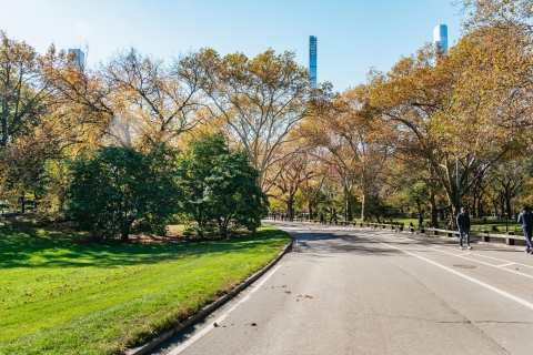 New York City: Geführte Pedicab-Tour durch den Central Park1-stündige Tour