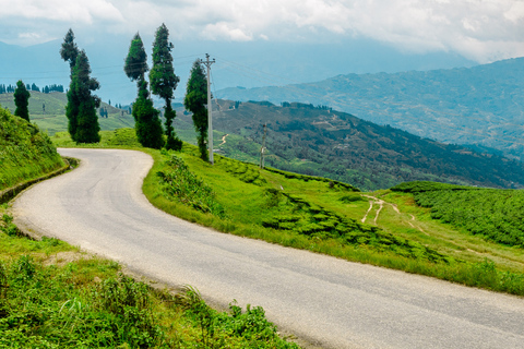 Kathmandu: Ilam Tea Garden & Sunrise 3-Day Tour