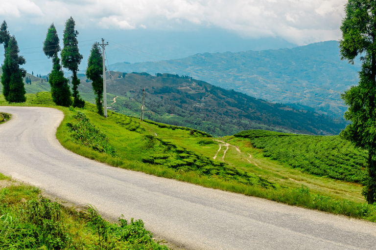 Kathmandu: Ilam Tea Garden & Sunrise 3-Day Tour