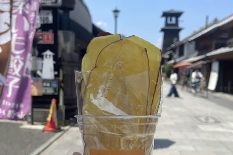 DA TOKYO - ESPLORA IL PICCOLO EDO E IL TOUR A PIEDI DELL'ARTIGIANATO