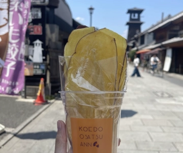 FROM TOKYO - EXPLORE LITTLE EDO & CRAFTS WALKING TOUR