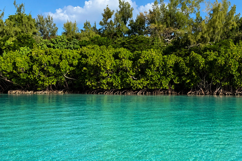 Mauritius: 5 Islands Speedboat Lagoon Experience with BBQ Mauritius: Lagoon Experience 5 Islands with BBQ Beach Lunch