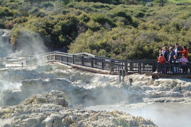 Tauranga: Hells Gate Geothermal Valley & Mud Spa Experience