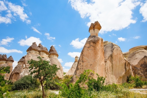 Cappadocië: Hoogtepunten van Cappadocië met Japanse gidsCappadocië Tour met Japanse gids