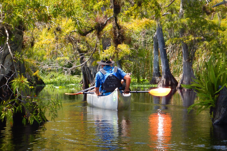 Orlando Alligator Experience: Day-Trip From Orlando Standard Option