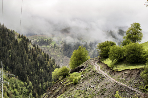 Mestia Ushguli day trip