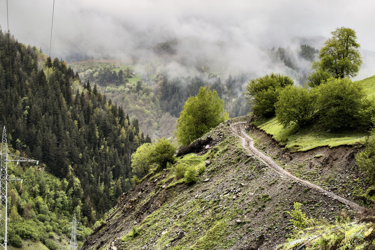 Mestia Ushguli day trip