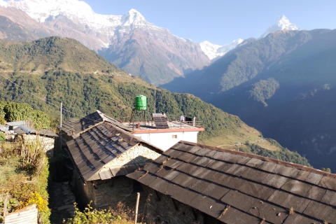 Z Katmandu: 5-dniowy krótki i najlepszy trekking do bazy pod AnnapurnąKatmandu: 5-dniowy krótki i najlepszy trekking do obozu Annapurna Base Camp