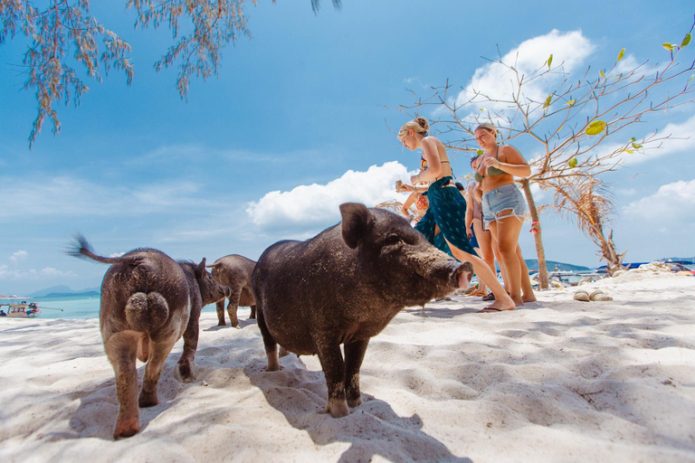 Koh Samui Explorer: A melhor aventura com jet skiJet Ski de 3 horas