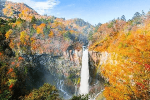 From Tokyo: Nikko Private Full-Day Heritage & Nature Tour