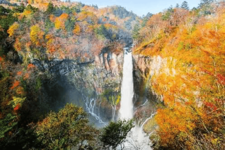 From Tokyo: Nikko Private Full-Day Heritage & Nature Tour