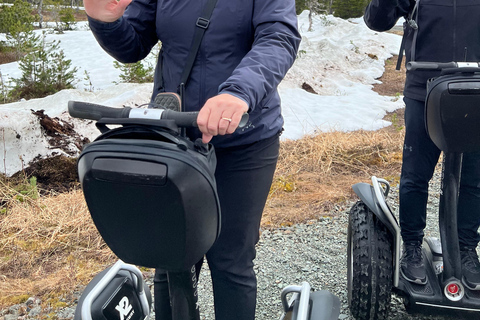 Juneau: giro nel deserto alpino