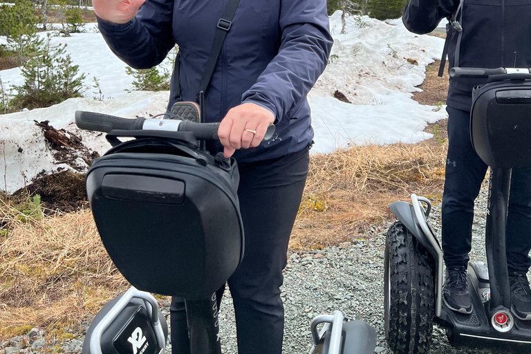 Juneau: giro nel deserto alpino