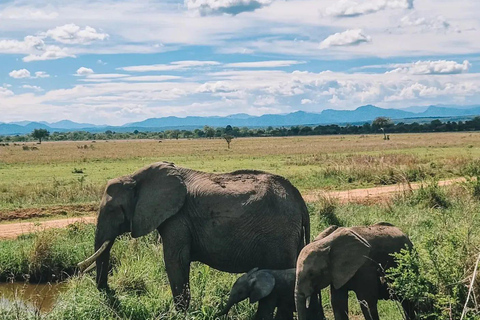 SAFARI WILDLIFE FROM ZANZIBAR TO MIKUMI 3 DAYS 2 NIGTHS