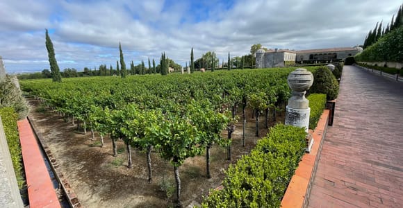 Lisbon: Tour to Bacalhoa Farm with Wine Tasting & Tile Factory