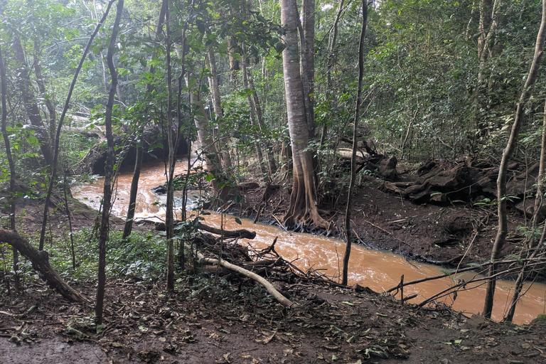 Karura Forest walking tour with nature and waterfalls.