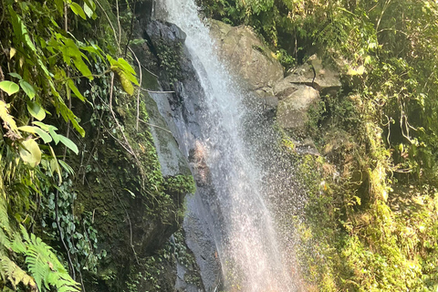 Ubud: Private Half-Day Tour Rice Terrace, Temple & Waterfall Private Ubud Half-Day Tour (Without Entrance Ticket)