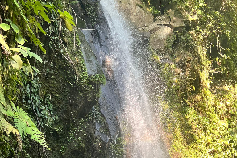 Ubud: Private Half-Day Tour Rice Terrace, Temple & Waterfall Private Ubud Half-Day Tour (Without Entrance Ticket)